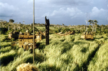 rolling grassland up to 2 metres in height - hot & difficult to walk through [Binning]