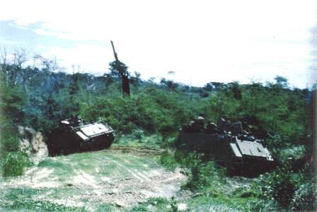 damaged secondary jungle - made for slow foot movement & poor visibility  [Binning