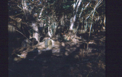 close country with loads of cover for ambushes - look carefully, there are at least two people in the open, plus loads of equipment [Young]