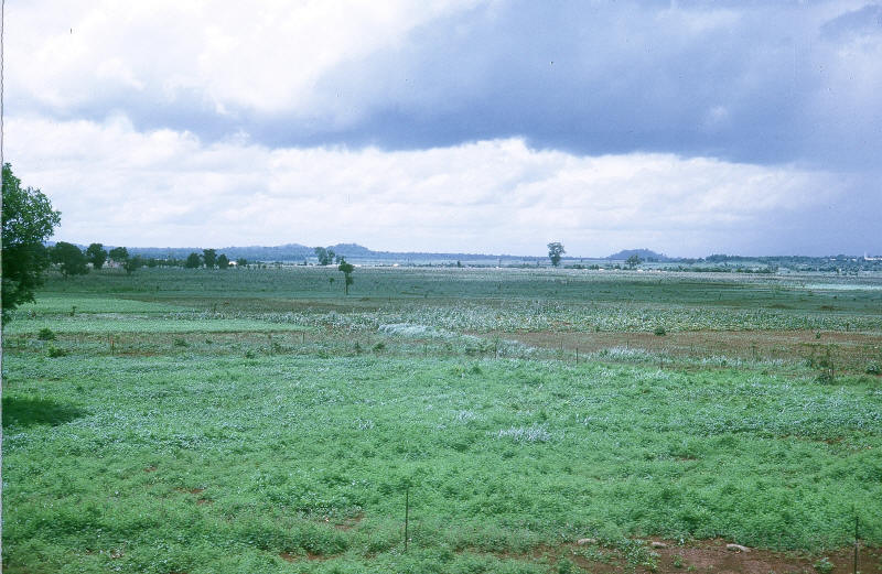 monsoon rain about to start falling, late afternoon FSPB LeLoi [Stock]