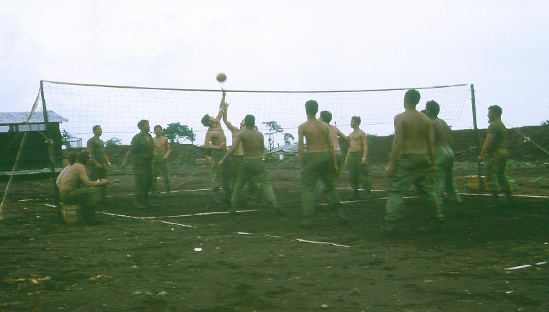 3Pl playing volleyball
