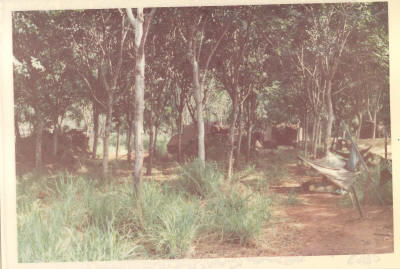 APC patrols frequently scrub bashed around the FSPB to provide local protection     [Young]