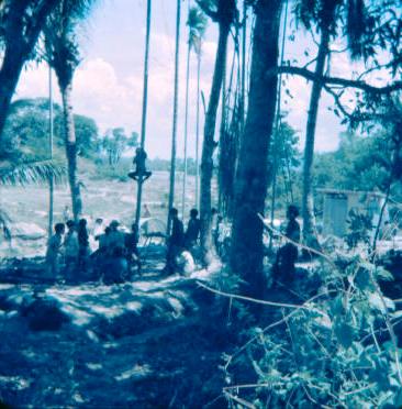 local kids visiting & collecting coconuts - they may have given the local VC information for their attack    [Binning]