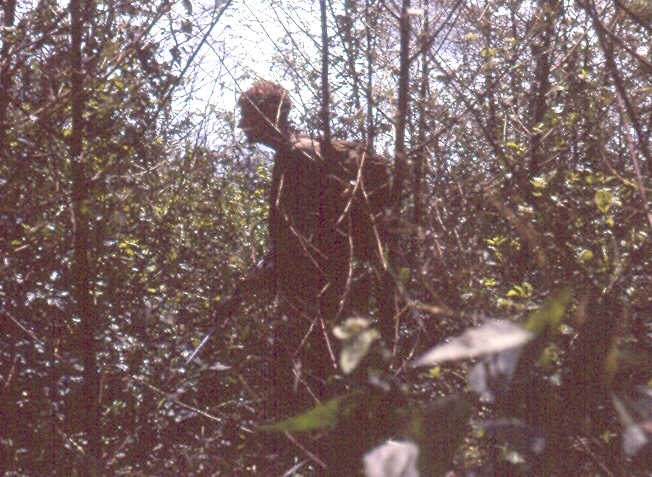 Graham Edwards 2Pl moving in the bush [Philips]