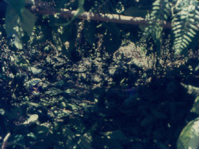 low visibility, deep shadow