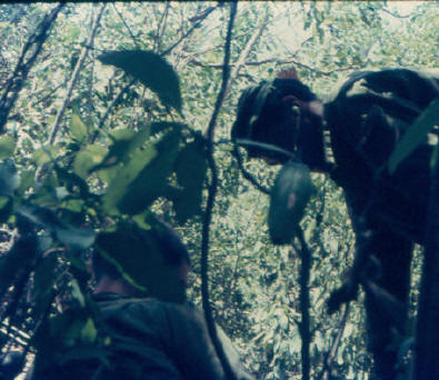 crowded & difficult to move through or observe any distance