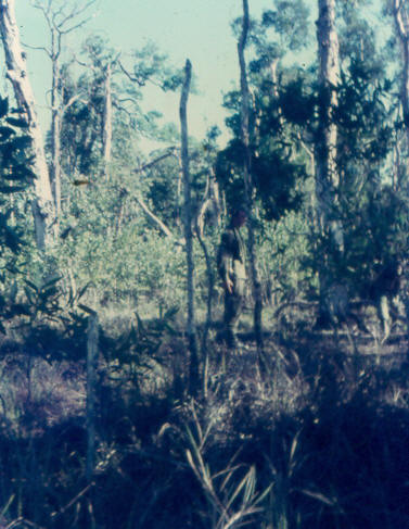 people blend in easily through use of shade & lack of movement