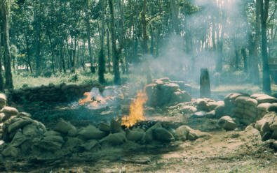 little left but memories [Henderson]