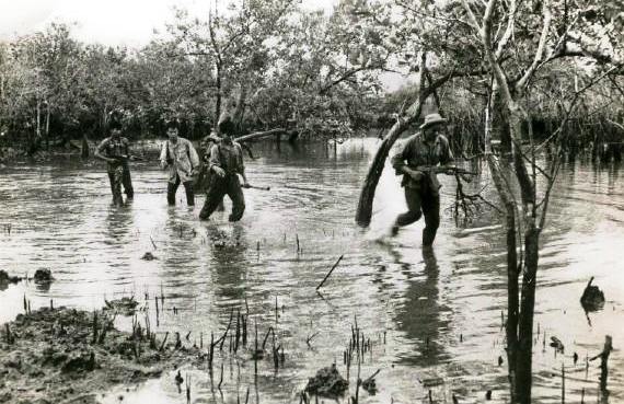 VC D445  [courtesy http://webandofbrothers.tripod.com/vcphotos.htm ]