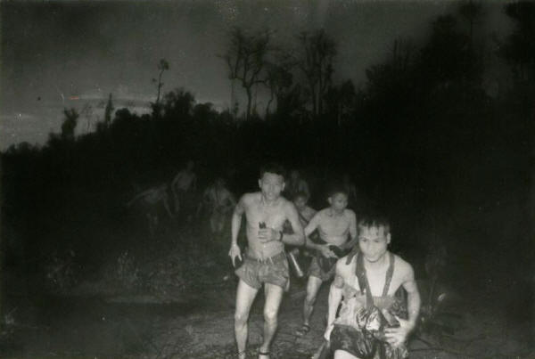 VC D445  [courtesy http://webandofbrothers.tripod.com/vcphotos.htm ]